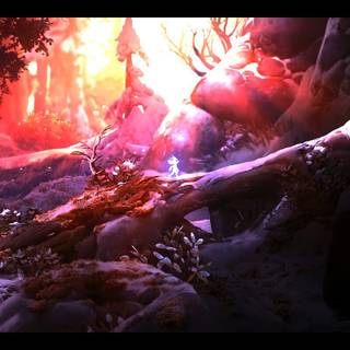 Steam oled wallpaper