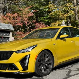 2024 Cadillac CT5-V Blackwing wallpaper