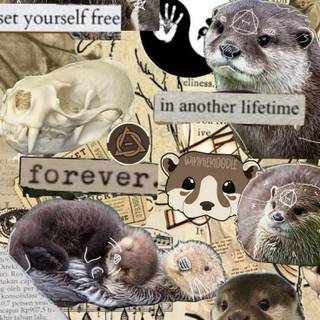 Otter therian wallpaper