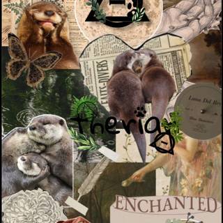 Otter therian wallpaper