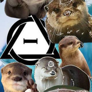 Otter therian wallpaper