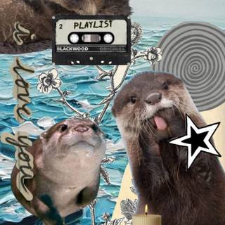 Otter therian wallpaper