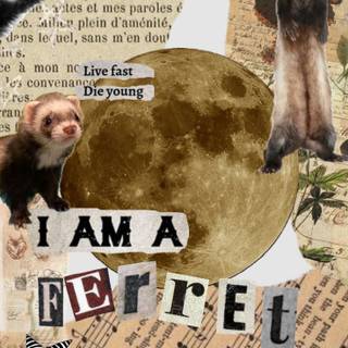 Otter therian wallpaper