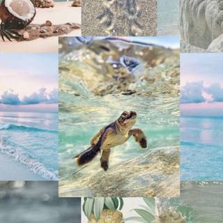 Aesthetic ocean collage wallpaper
