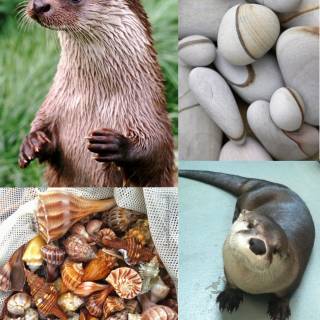 Otter therian wallpaper