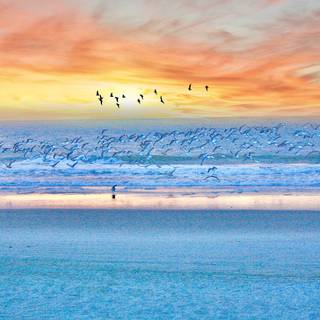 Myrtle Beach ocean wallpaper