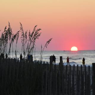 Myrtle Beach ocean wallpaper