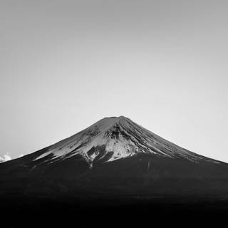 8k black and white wallpaper