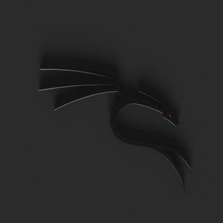Kali Linux dragon wallpaper
