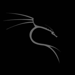 Kali Linux dragon wallpaper