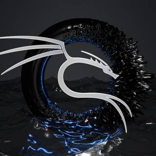 Kali Linux dragon wallpaper