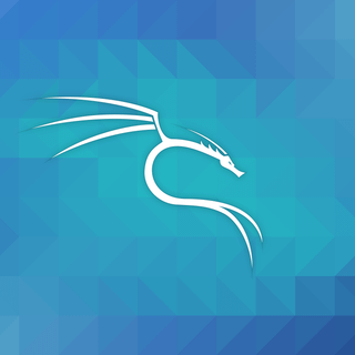 Kali Linux dragon wallpaper