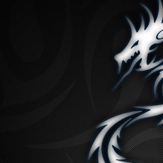 Kali Linux dragon wallpaper