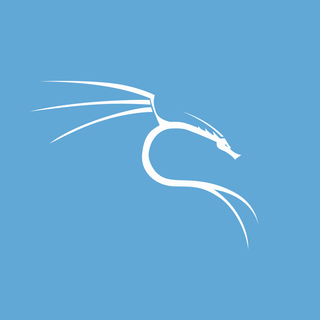 Kali Linux dragon wallpaper