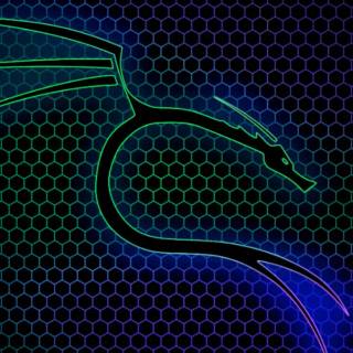 Kali Linux dragon wallpaper