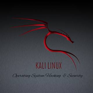 Kali Linux dragon wallpaper