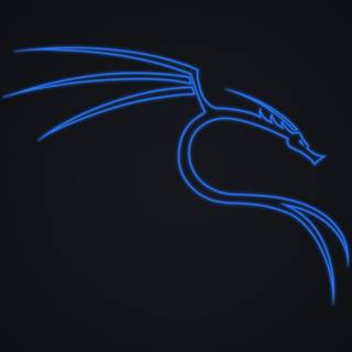 Kali Linux dragon wallpaper