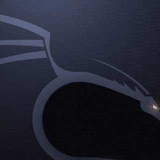 Kali Linux dragon wallpaper