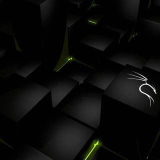 Kali Linux dragon wallpaper