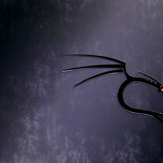 Kali Linux dragon wallpaper
