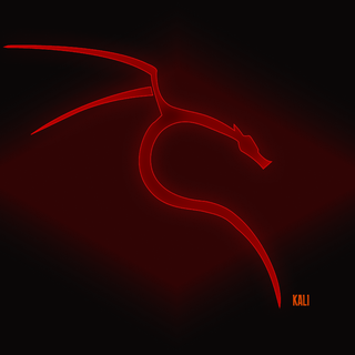 Kali Linux dragon wallpaper