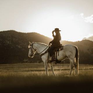 Cowboy horse wallpaper