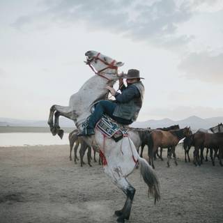 Cowboy horse wallpaper