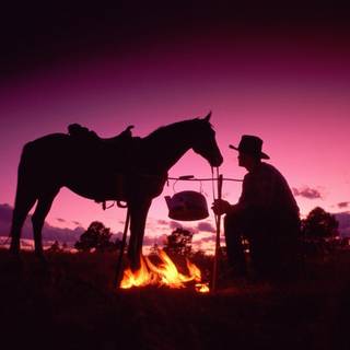 Cowboy horse wallpaper
