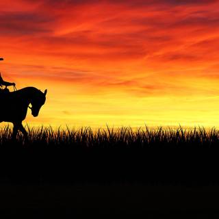 Cowboy horse wallpaper