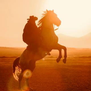 Cowboy horse wallpaper