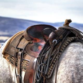 Cowboy horse wallpaper