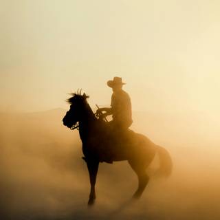 Cowboy horse wallpaper
