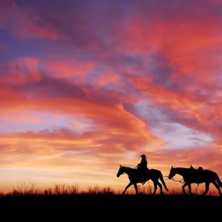 Cowboy horse wallpaper