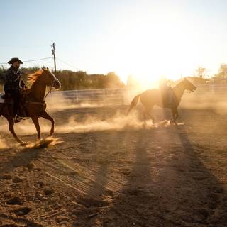 Cowboy horse wallpaper