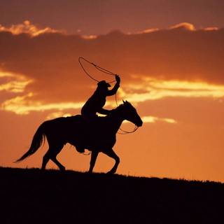 Cowboy horse wallpaper