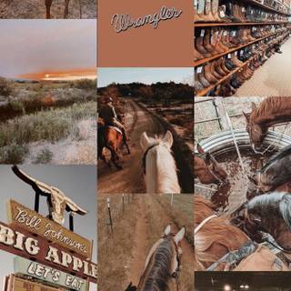 Cowboy horse wallpaper