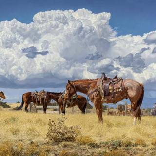 Cowboy horse wallpaper