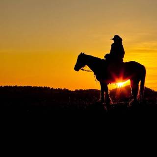 Cowboy horse wallpaper