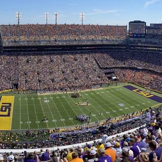 Tiger Stadium wallpaper