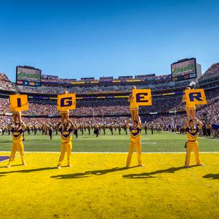 Tiger Stadium wallpaper