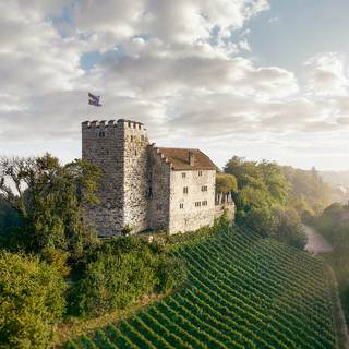 House of Habsburg wallpaper