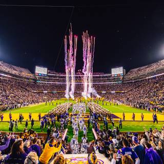 Tiger Stadium wallpaper