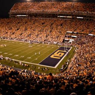 Tiger Stadium wallpaper