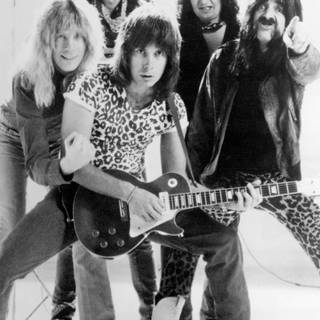 This Is Spinal Tap wallpaper