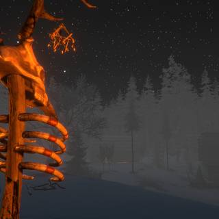 The Echo Paradox wallpaper