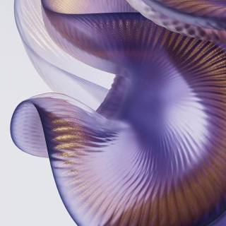 Xiaomi Mix Flip 2 wallpaper