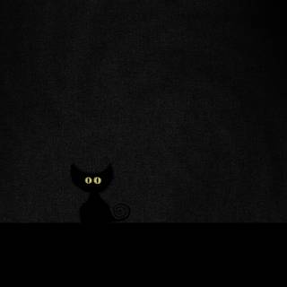 Dark 4k cats wallpaper