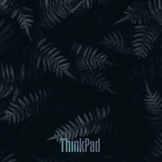 Lenovo Yoga 4k wallpaper