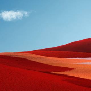 Windows 11 red 4k wallpaper