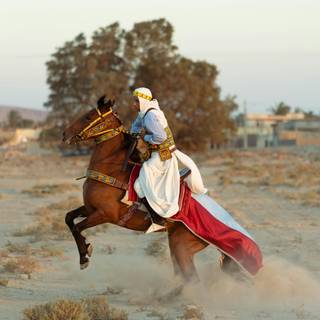 Arabian 4k wallpaper